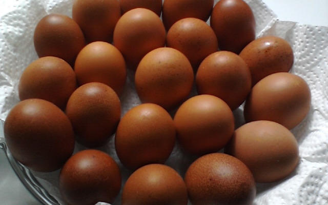 Brown eggs