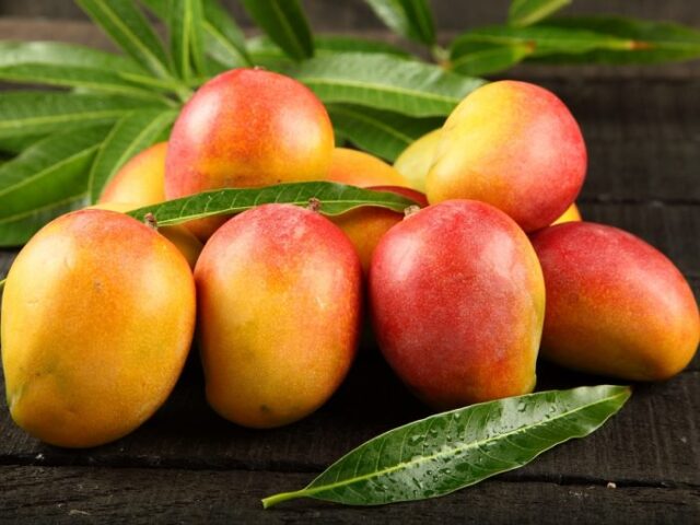 Mango