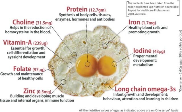 Nutrition Value of Eggs