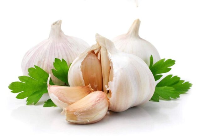 Garlic