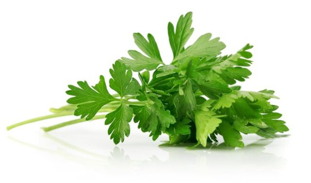 Parsley