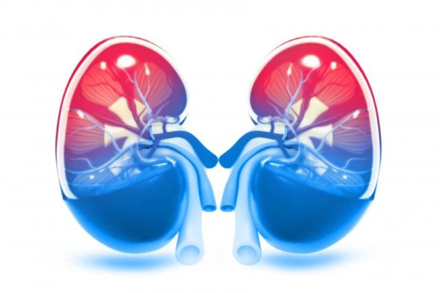 Is Drinking Water Good For Your Kidneys