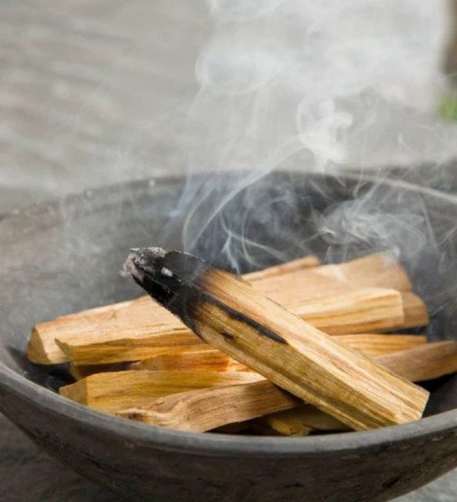 Learn How to Use Palo Santo as an Alternative Medicine ...