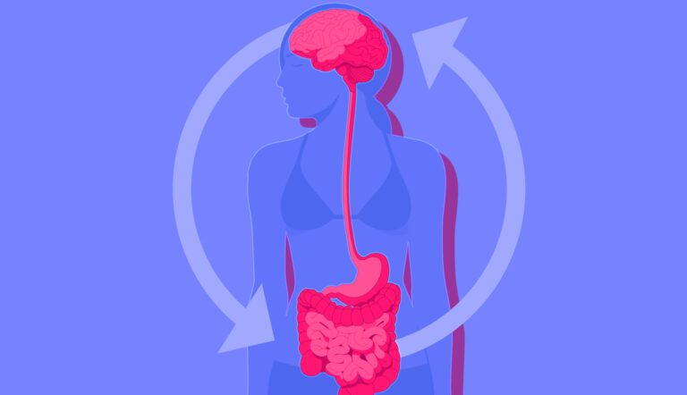 Can Digestive Problems Affect the Vagus Nerve?