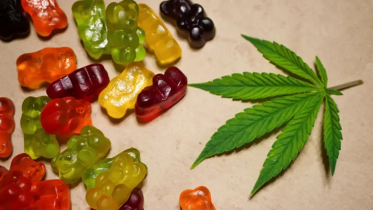 5 Best CBD Gummies in Canada 2024