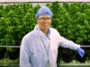 Medical Cannabis Cultivators-Nurturing Healing Through Cannabis