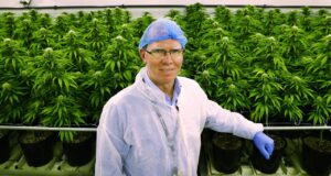 Medical Cannabis Cultivators-Nurturing Healing Through Cannabis